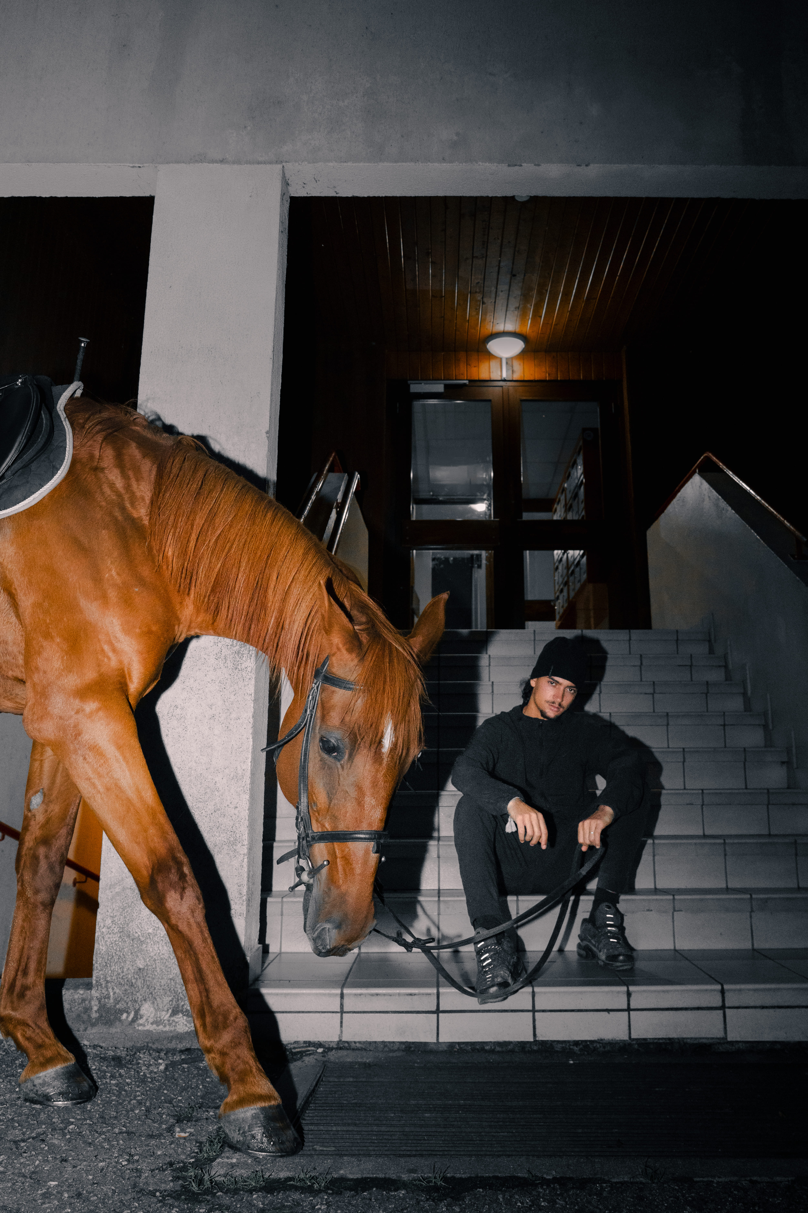 homme assis dans les escaliers d'un batiment amir pvrss avec un cheval marron alezan devant lui qui gratte le sol style quartier. photographge de mode chambéry grenoble. Création originale pauline artbook